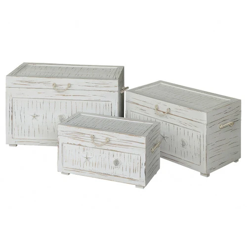 Seaside White Shell Trunks - Set Of 3