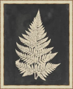Tropic Fern I Framed Wall Art