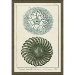 Ocean Journal I Framed Print