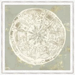 Vintage Sand Dollar III Wall Art