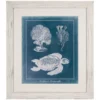 Azure Sea Turtle Study I Framed Print