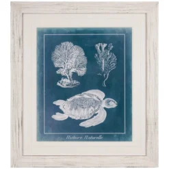 Azure Sea Turtle Study I Framed Print