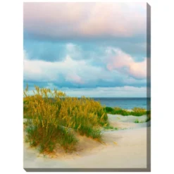 Solitude II Indoor/Outdoor Canvas Art