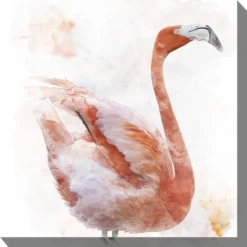 Proud Flamingo Canvas Art