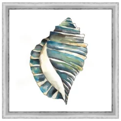 Aquarelle Shells I Framed Print