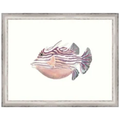 Watercolor Tropical Fish II Framed Print