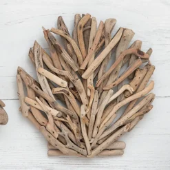 Coastal Driftwood Clam Wall Art