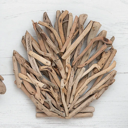 Coastal Driftwood Clam Wall Art